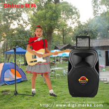 Single Active Portable Amplified Speaker with Trolley Music Player